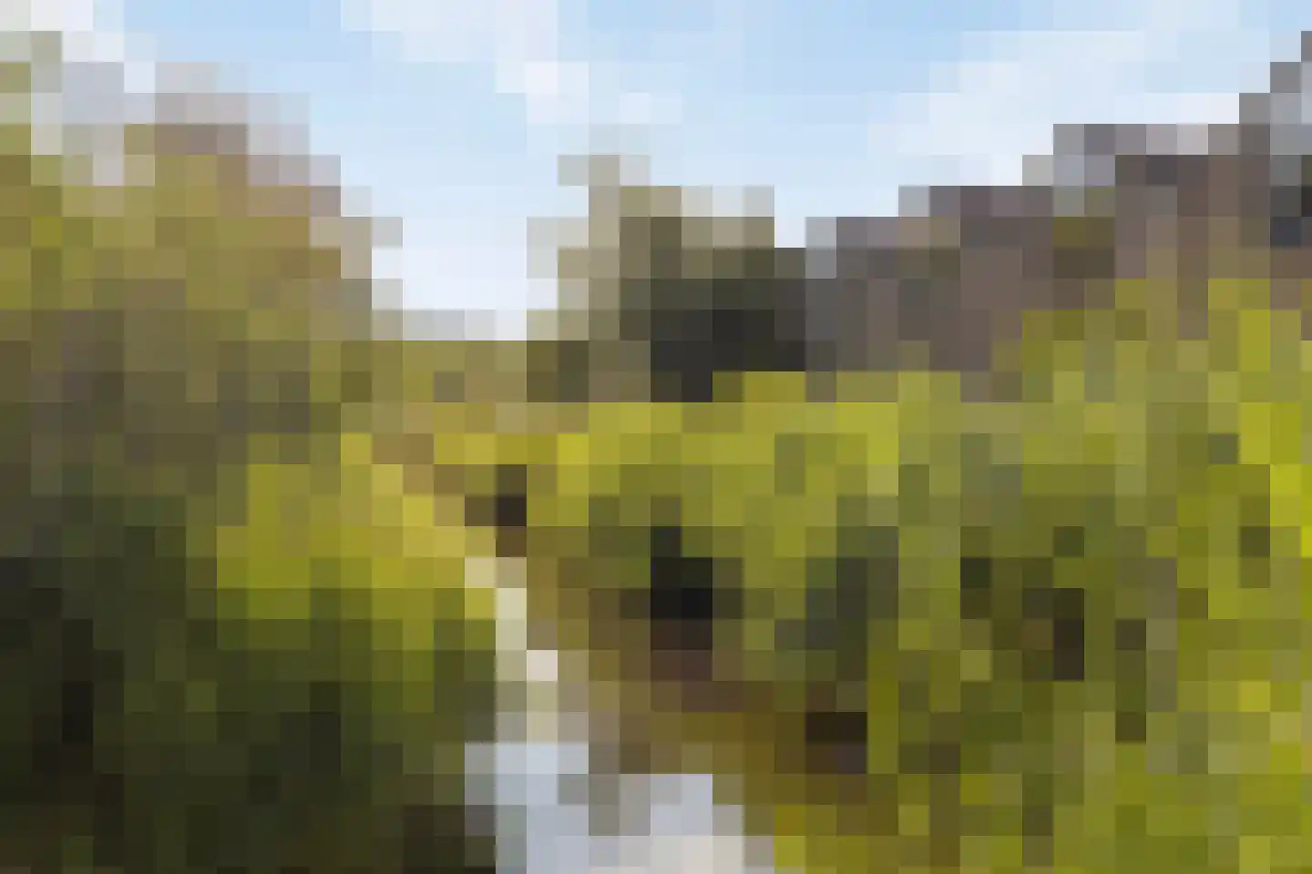 Albrechtsveld 72 Gouda thumbnail 22
