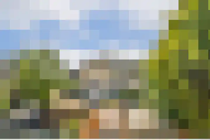 Albrechtsveld 73 Gouda thumbnail 22