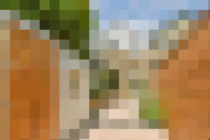 Albrechtsveld 73 Gouda thumbnail 29