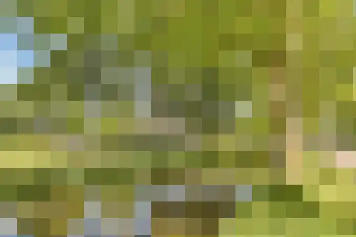Albrechtsveld 73 Gouda thumbnail 36