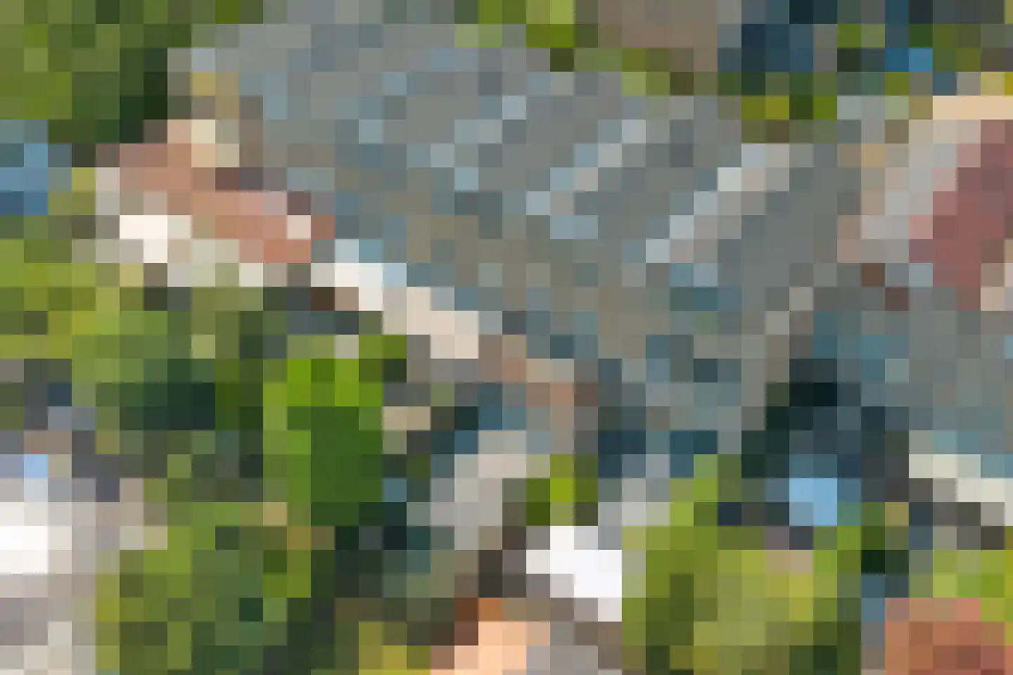 Albrechtsveld 95 Gouda thumbnail 38