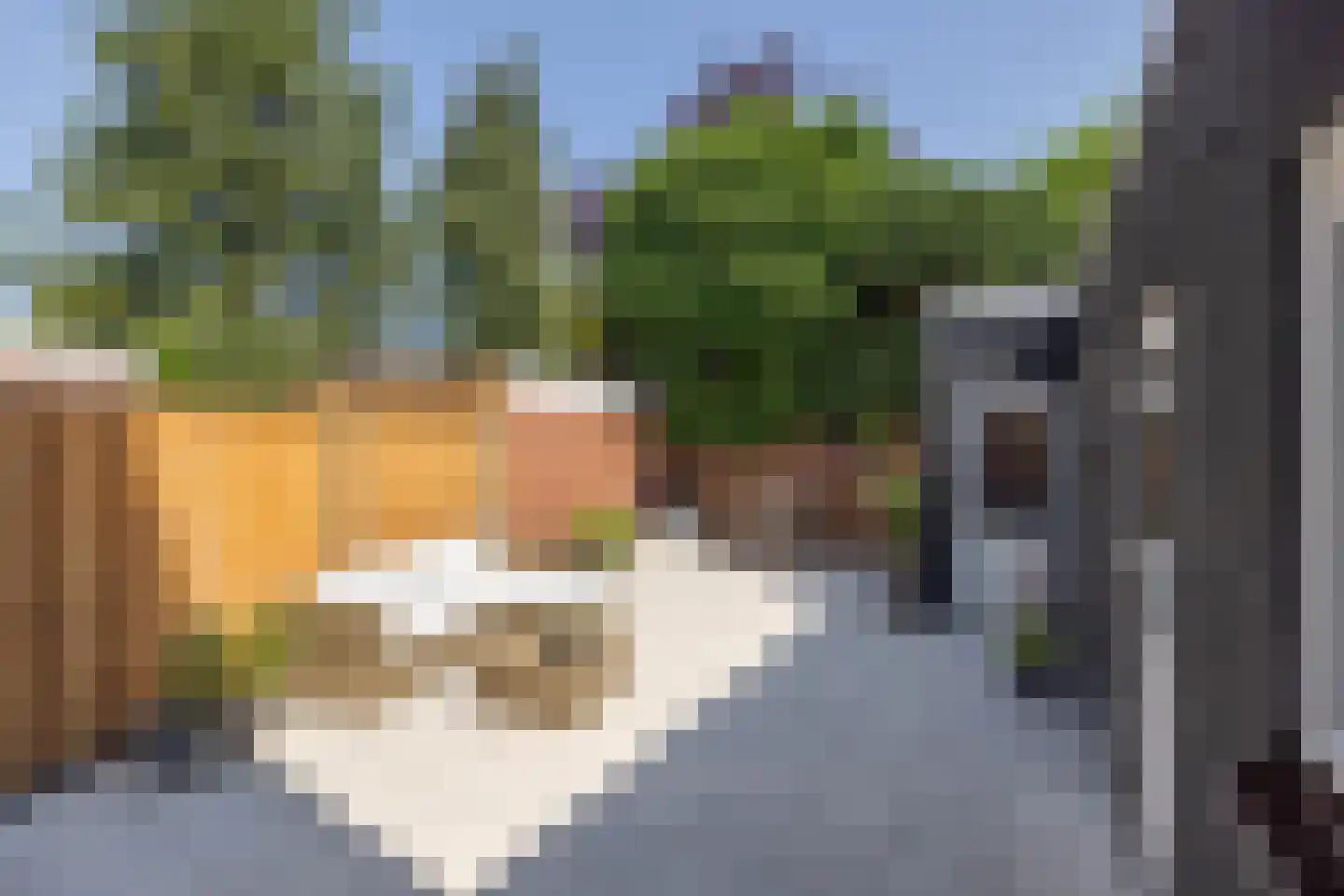 Albrechtsweg 47 Hengelo thumbnail 23