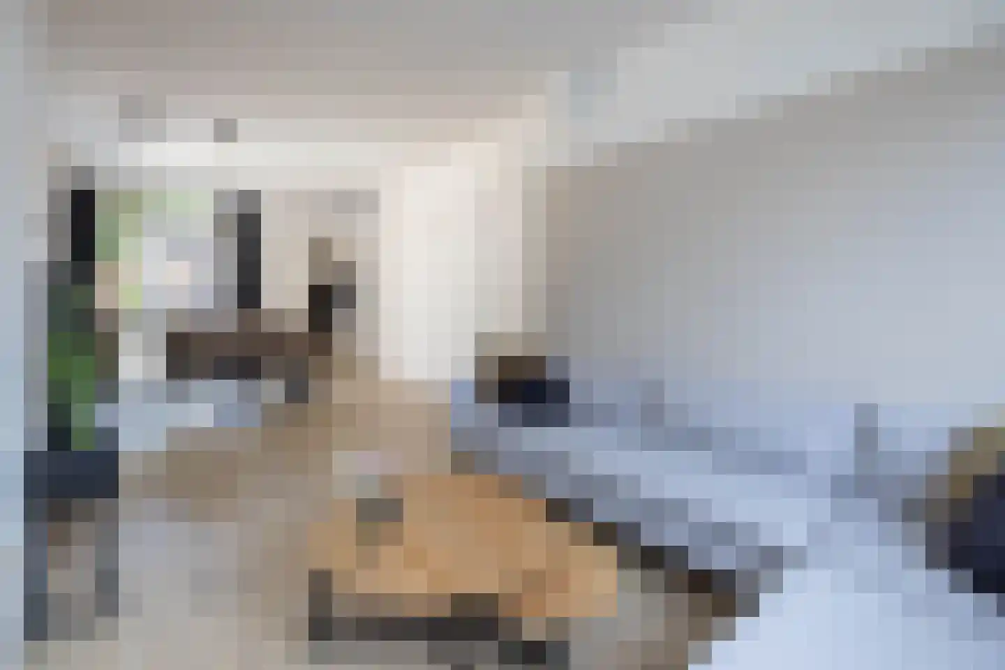 Albrechtsweg 47 Hengelo thumbnail 6