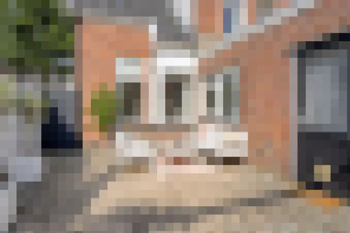 Albrechtsweg 56 Hengelo thumbnail 26