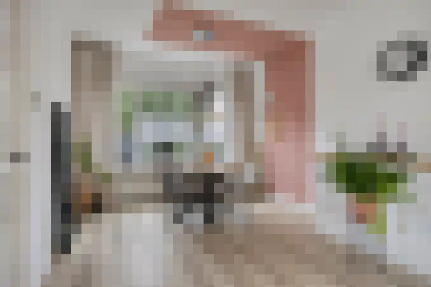 Albrechtsweg 56 Hengelo thumbnail 7