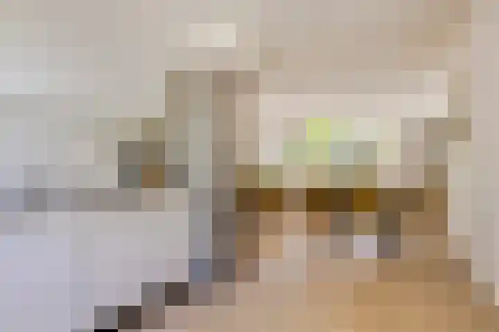 Albrondaheerd 14 Groningen thumbnail 11