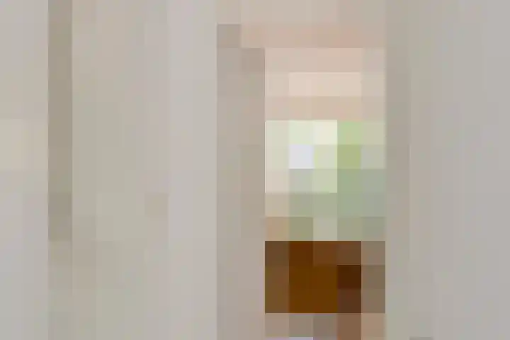 Albrondaheerd 14 Groningen thumbnail 12