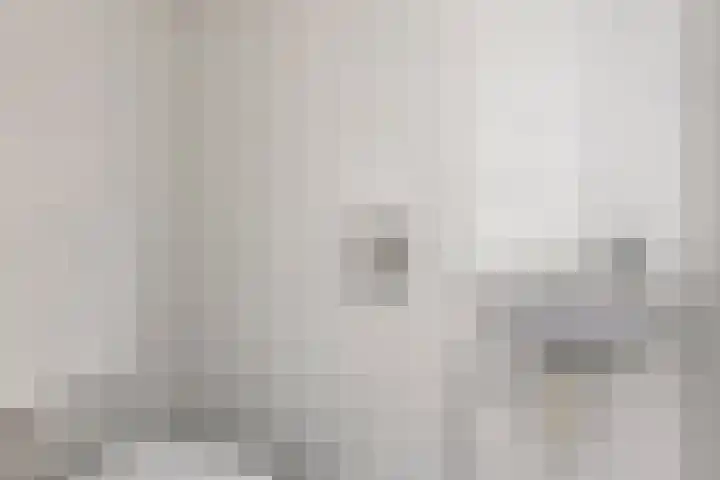 Albrondaheerd 14 Groningen thumbnail 13