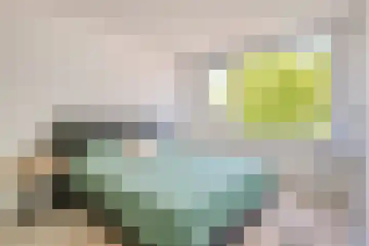 Albrondaheerd 14 Groningen thumbnail 14