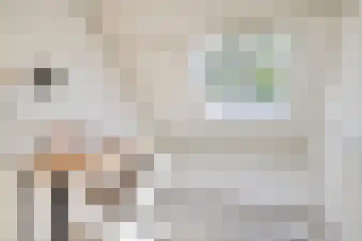 Albrondaheerd 14 Groningen thumbnail 16