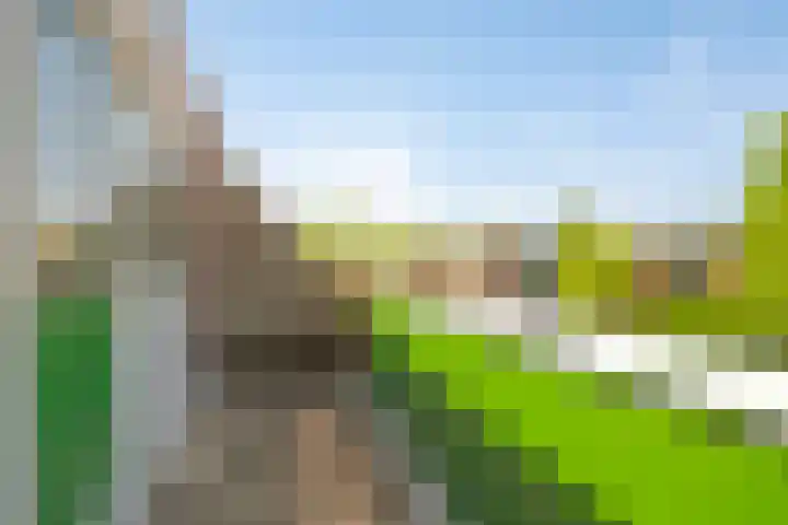 Albrondaheerd 14 Groningen thumbnail 21