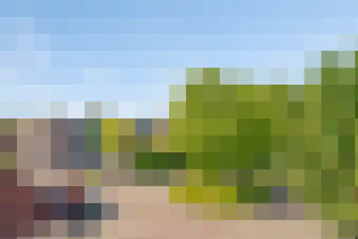 Albrondaheerd 14 Groningen thumbnail 22