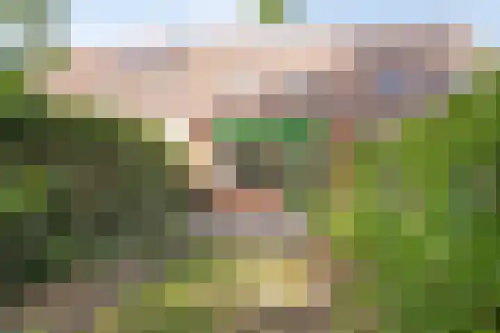 Albrondaheerd 14 Groningen thumbnail 23