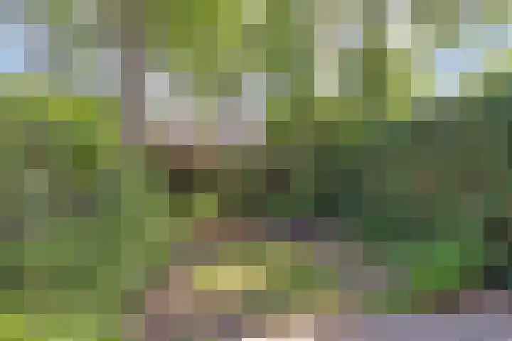 Albrondaheerd 14 Groningen thumbnail 24