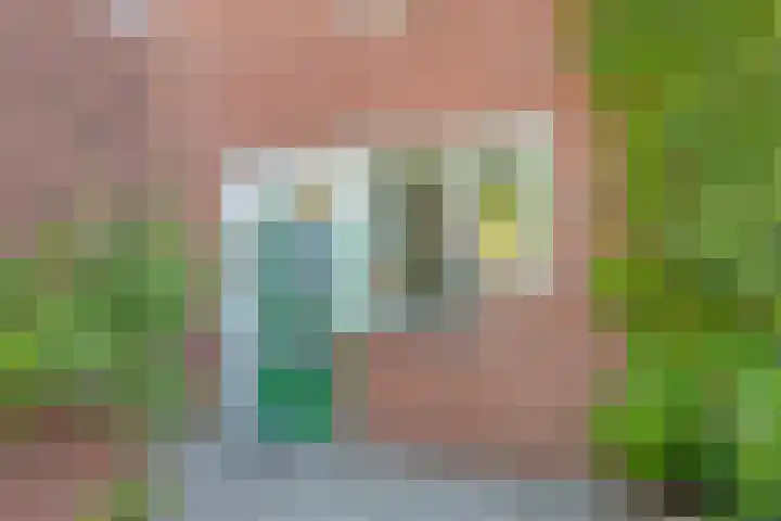 Albrondaheerd 14 Groningen thumbnail 25