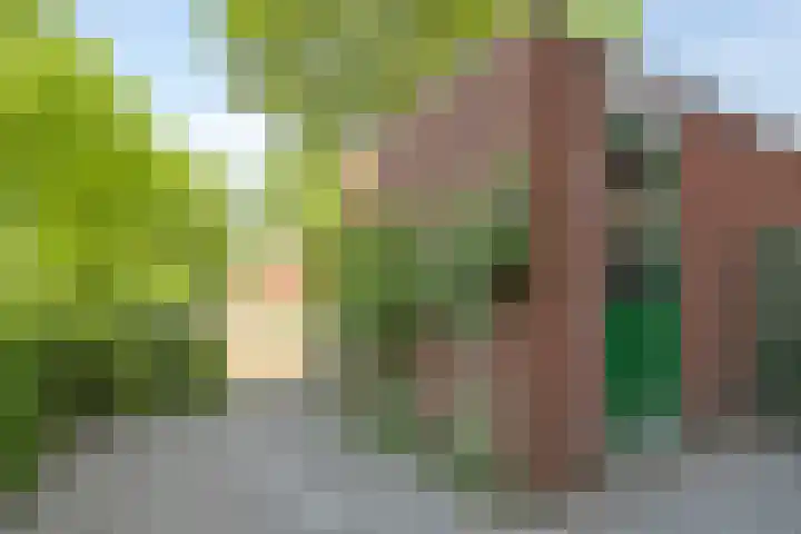 Albrondaheerd 14 Groningen thumbnail 27