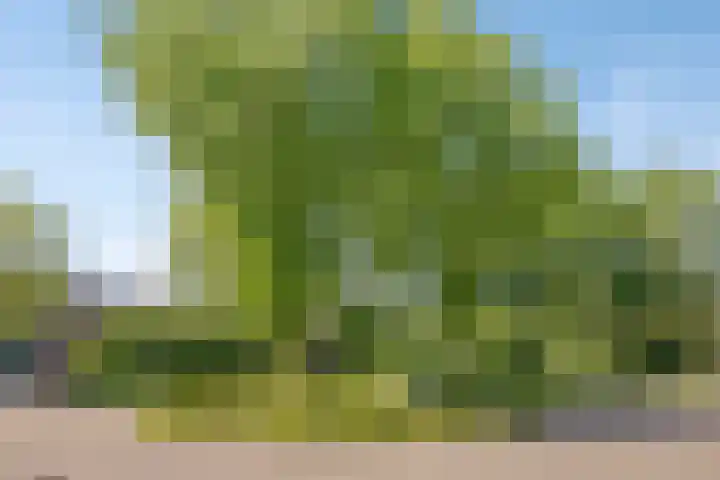 Albrondaheerd 14 Groningen thumbnail 28