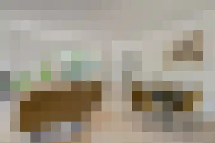 Albrondaheerd 14 Groningen thumbnail 4