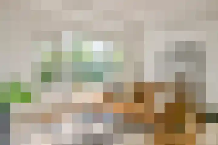 Albrondaheerd 14 Groningen thumbnail 5