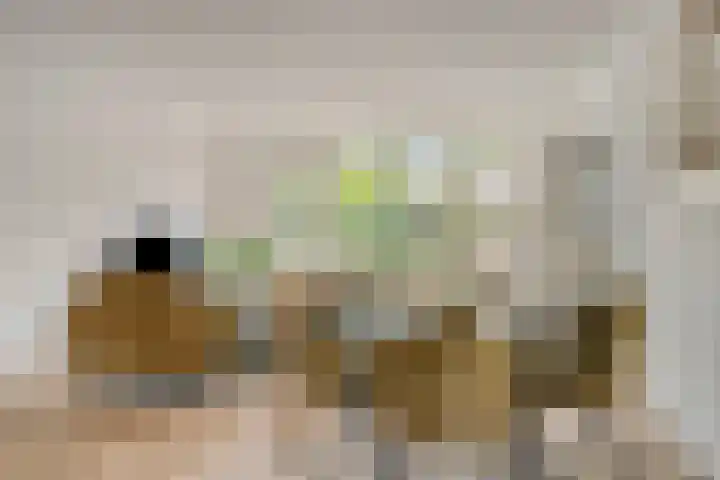 Albrondaheerd 14 Groningen thumbnail 8
