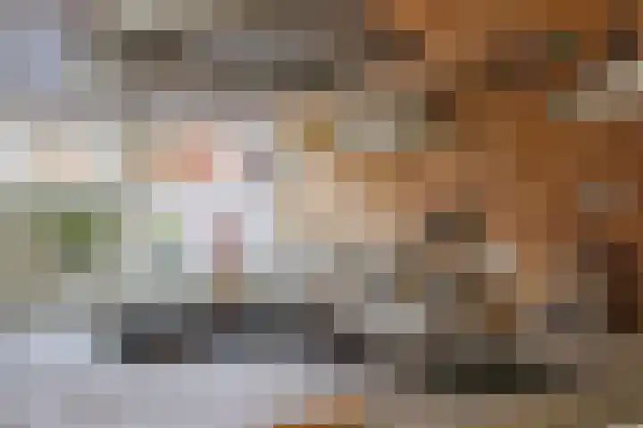 Albrondaheerd 43 Groningen thumbnail 10