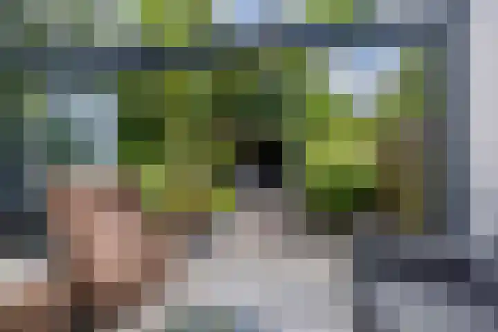 Albrondaheerd 43 Groningen thumbnail 12