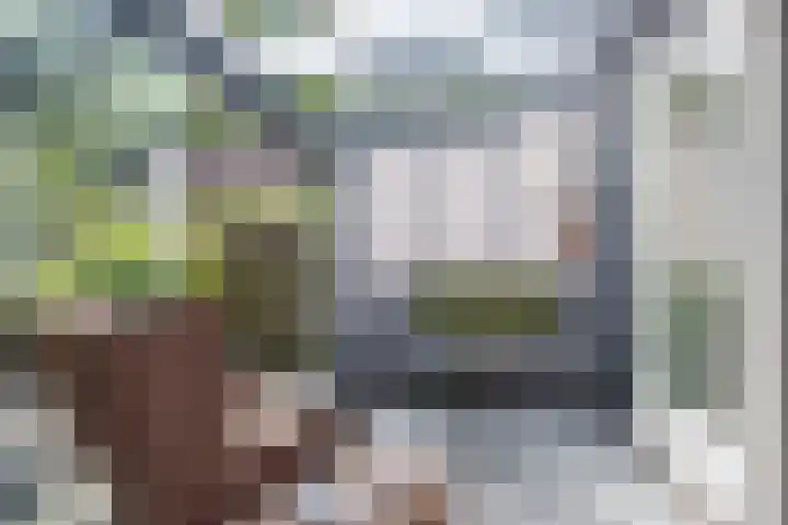 Albrondaheerd 43 Groningen thumbnail 13