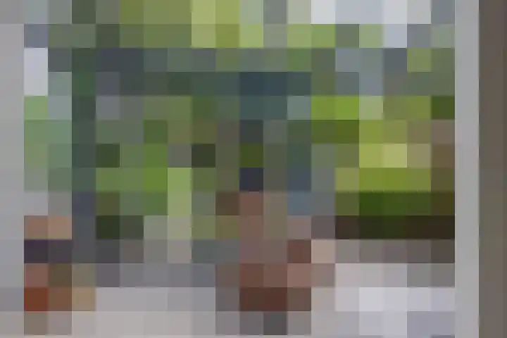 Albrondaheerd 43 Groningen thumbnail 15
