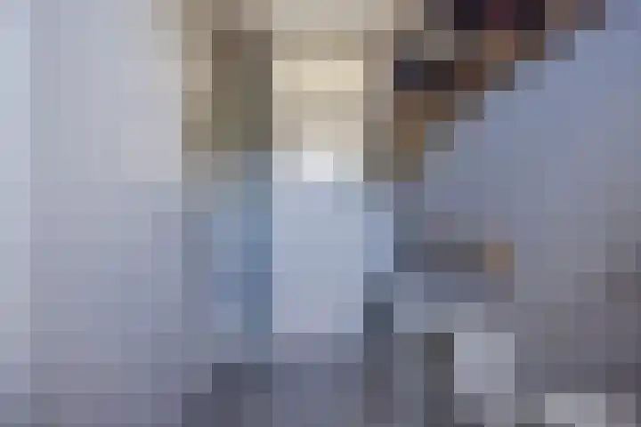 Albrondaheerd 43 Groningen thumbnail 17