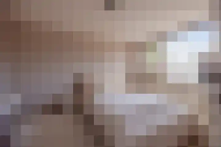 Albrondaheerd 43 Groningen thumbnail 19