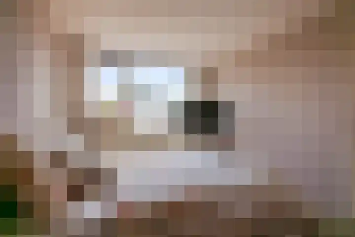 Albrondaheerd 43 Groningen thumbnail 20