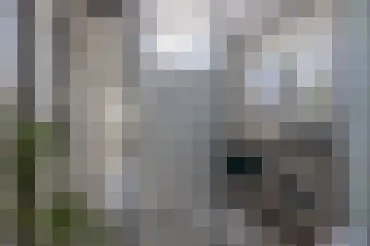 Albrondaheerd 43 Groningen thumbnail 22