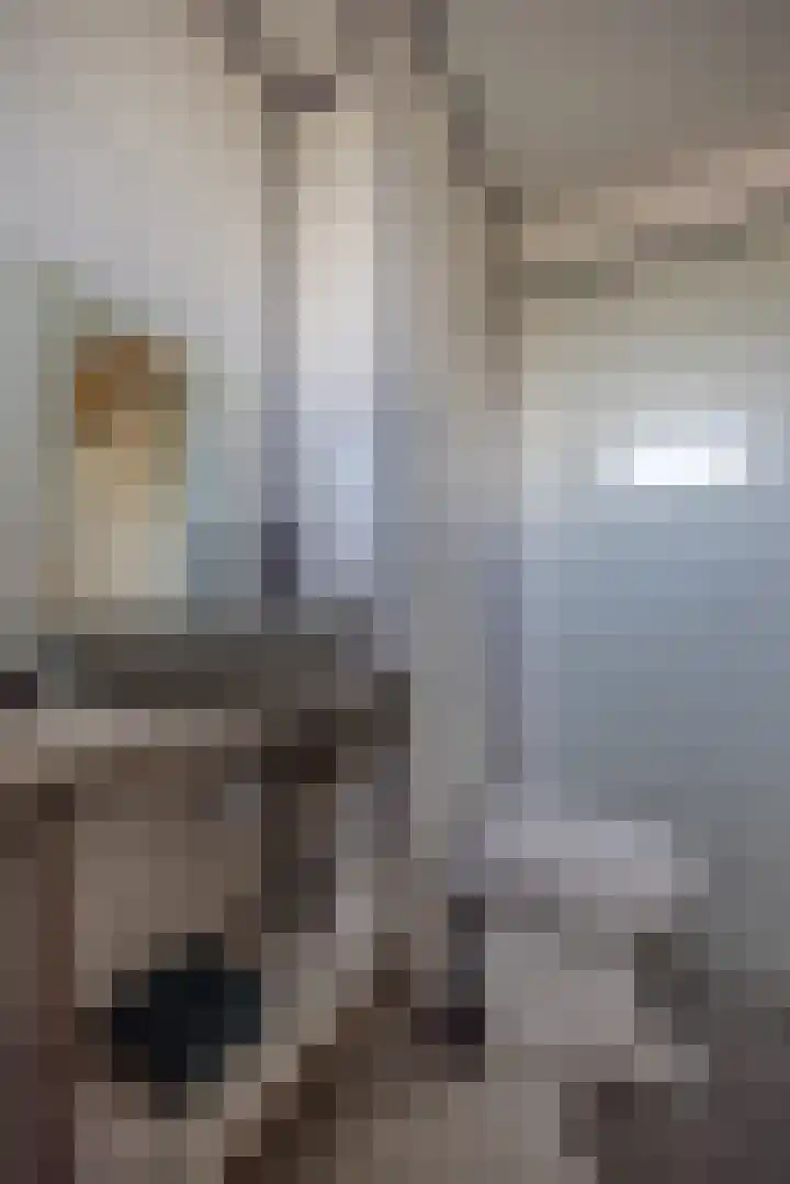 Albrondaheerd 43 Groningen thumbnail 24