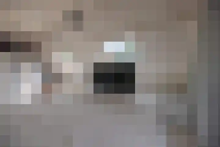 Albrondaheerd 43 Groningen thumbnail 26
