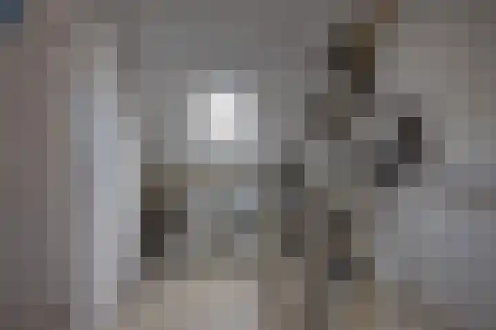 Albrondaheerd 43 Groningen thumbnail 29