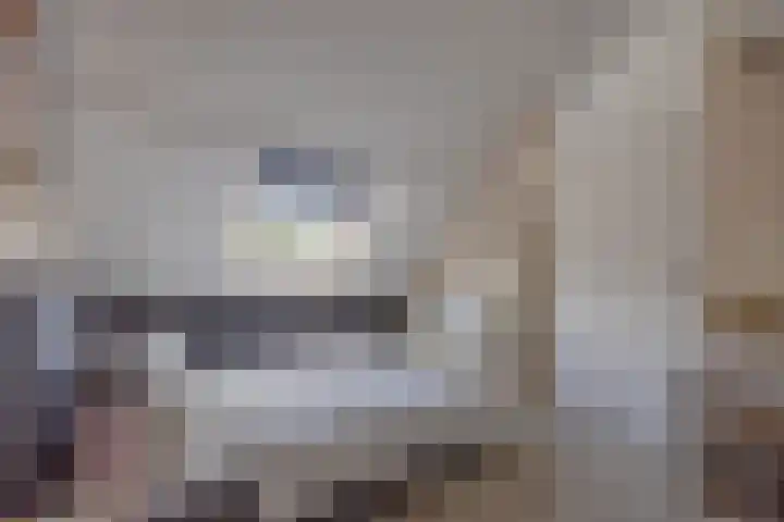 Albrondaheerd 43 Groningen thumbnail 31
