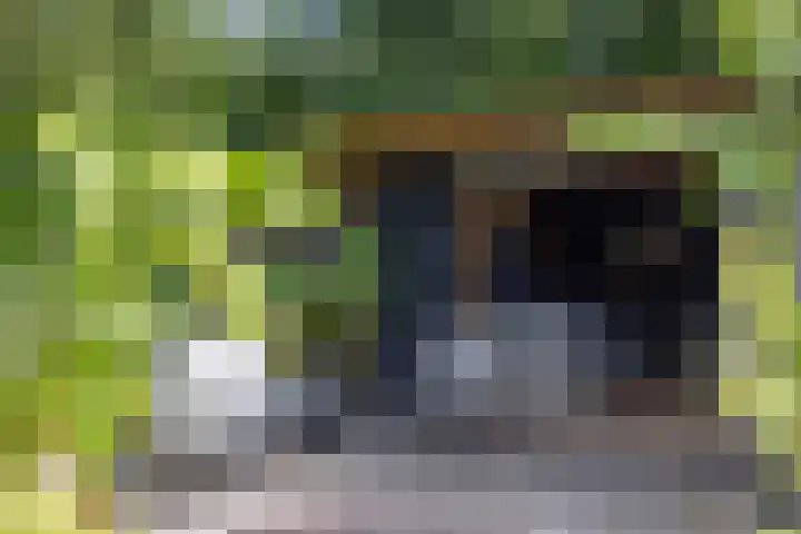 Albrondaheerd 43 Groningen thumbnail 33