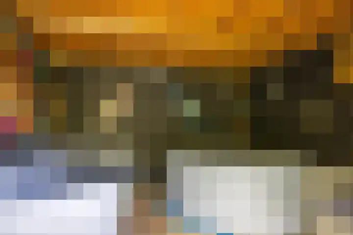 Albrondaheerd 43 Groningen thumbnail 34