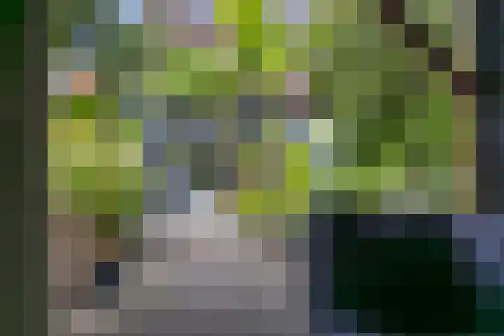 Albrondaheerd 43 Groningen thumbnail 36