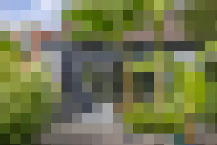 Albrondaheerd 43 Groningen thumbnail 38