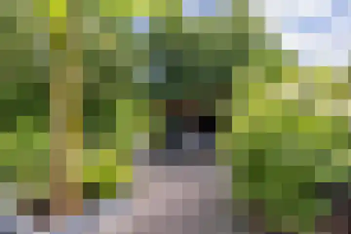 Albrondaheerd 43 Groningen thumbnail 39