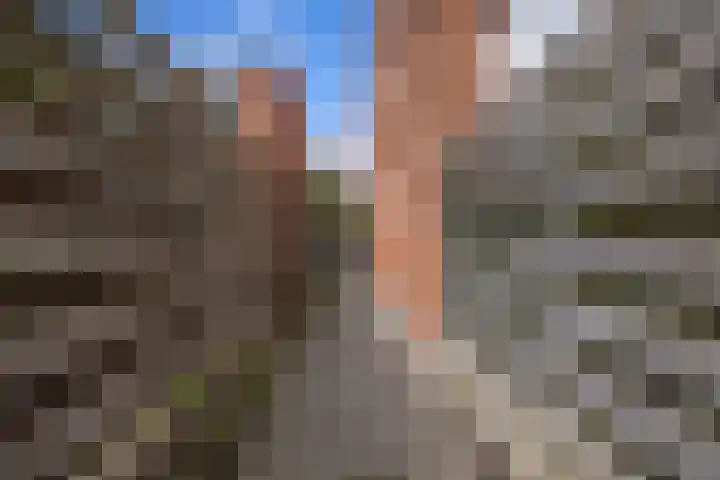 Albrondaheerd 43 Groningen thumbnail 41