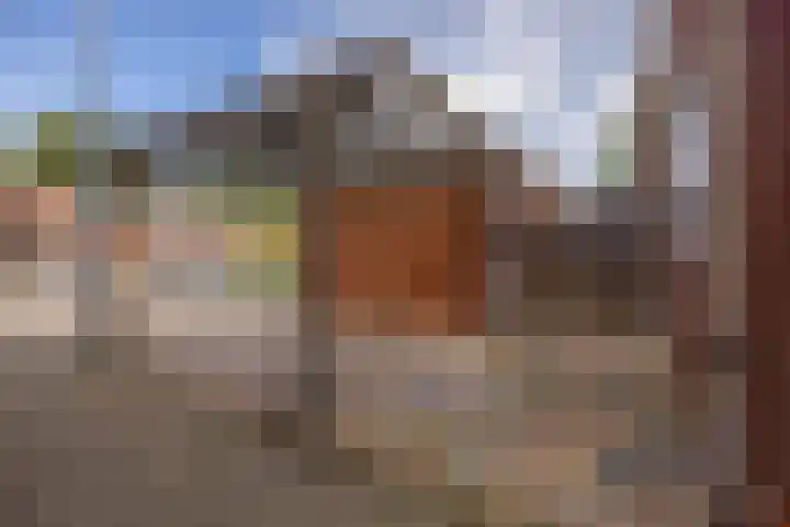 Albrondaheerd 43 Groningen thumbnail 42