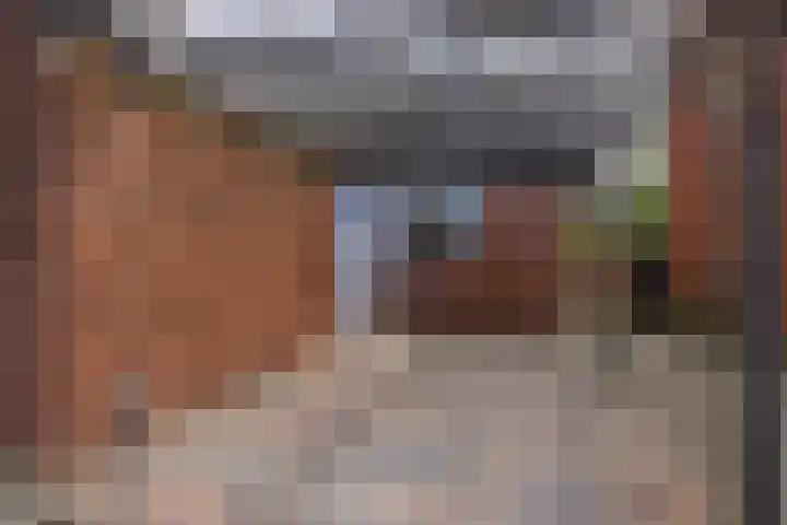 Albrondaheerd 43 Groningen thumbnail 43