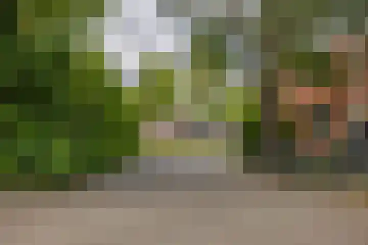 Albrondaheerd 43 Groningen thumbnail 49