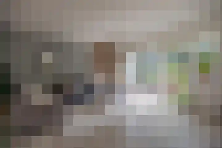 Albrondaheerd 43 Groningen thumbnail 5