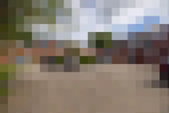 Albrondaheerd 43 Groningen thumbnail 50
