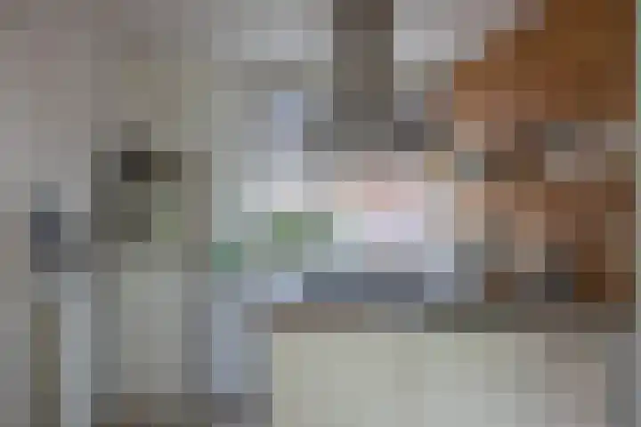 Albrondaheerd 43 Groningen thumbnail 7