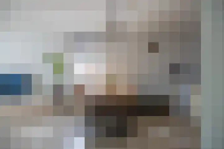 Albrondaheerd 43 Groningen thumbnail 8