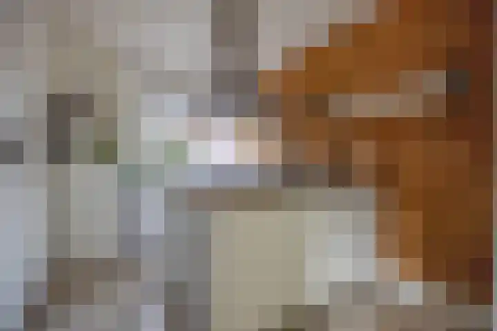 Albrondaheerd 43 Groningen thumbnail 9